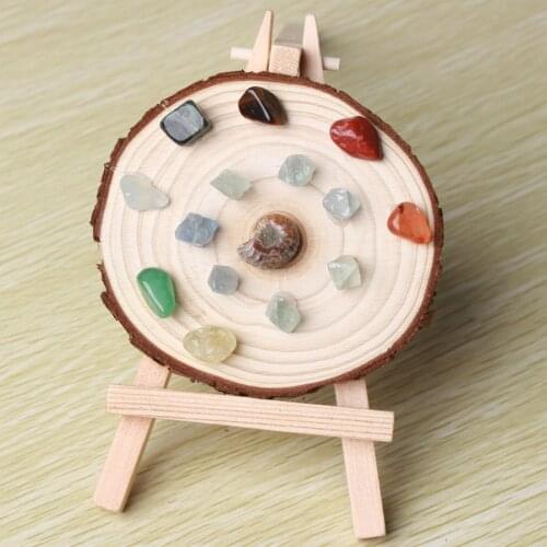 Crystal Meditation Gem Fossil Specimen Wooden Disc Decoration with Stand