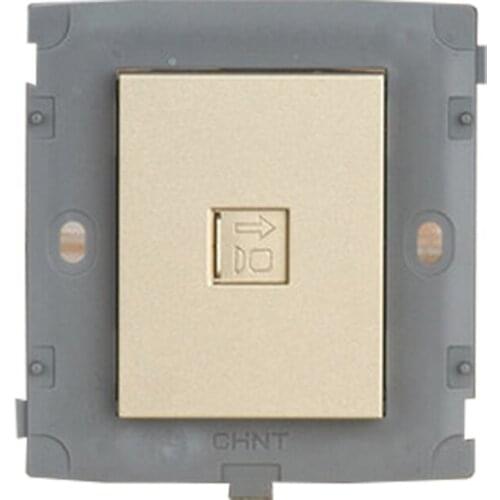 CHINT Electric Computer Socket Module NEW2K Light Champagne Gold