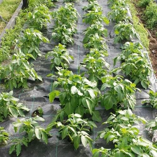 1.2M Wide 5m Length Garden Yard Weeding Cloth Cover Landscape Heavy Duty Weed Barrier Block Greenhouse Plastic Mulch Film