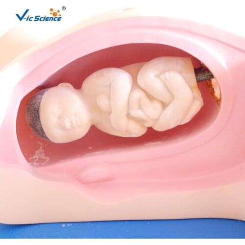 Teaching model of delivery machine