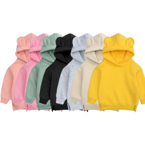 Wholesale Kids Tales New Style Warm Baby Boys Girls Clothes Fleece Kids Hoodies Dino Hoody Children Outfits Pullover Outerwear