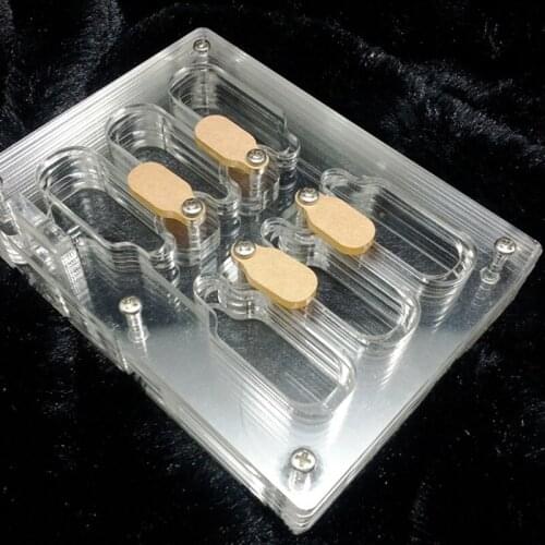 Flip Cover Acrylic Flat Ant Nest Classic Chicken Chop Design Ant Farm Feeding box in a Small Group of Ants