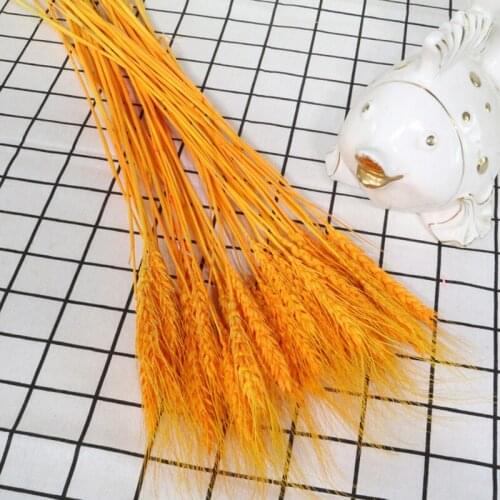 Hot-selling Long-term Preserved Dried Natural Wheat 100 Stems Colorful Premium Autumn For Bussiness Opening Flower Basket Gift
