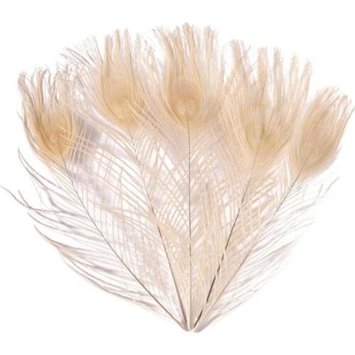 10Pcs/lot Natural Dyed Peacock Feathers for Crafts 25-30cm/10-12" Peacock Feather Home Decoration Accessories Carnaval Plumas