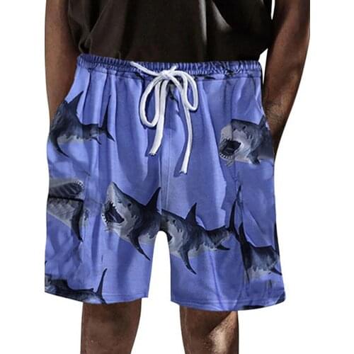 Lipswag Men's Beach Shorts