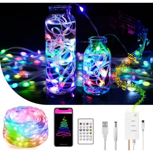 Leather Wire Smart Light Dream Color LED String Lights Wifi Bluetooth Waterproof Fairy Holiday Lights Christmas Decoration 5V