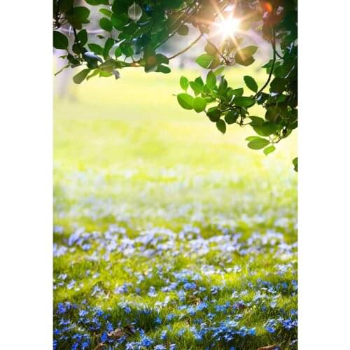 Sun shine outdoor photo background vinyl newborn portrait wedding photography backdrop for photo studio video accessories F-1061