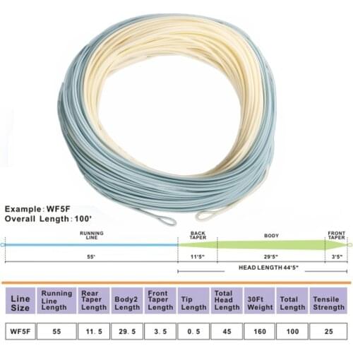 Maximumcatch Bonefish Fly Line 100 FT Sand/Blue Color Fly Fishing Line With 2 Welded Loops Fly Line for Slatwater/Freshwater