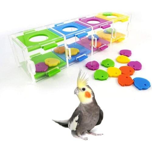 Parrot Puzzle Training Intellectual Development Toy Separation Coin Box Parakeet Cockatiel Macaw Cockatoo Cage Bird Supplies