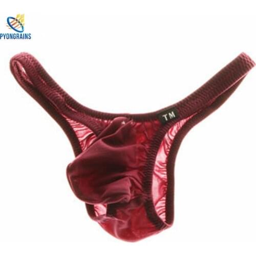 2016 New Super Sexy Nylon Briefs Men Popular Sexy Men Underwear Comfortable And Breathable hang-pocket Mens Underwear Briefs