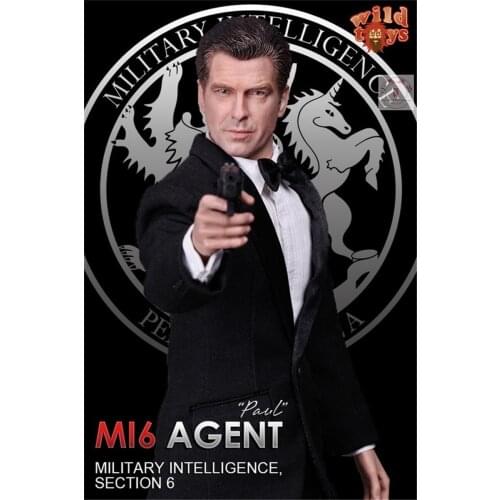 1/6 Scale In Stock WT21 Pierce Brosnan MI6 Agent 007 Paul Dolls For Fans collection