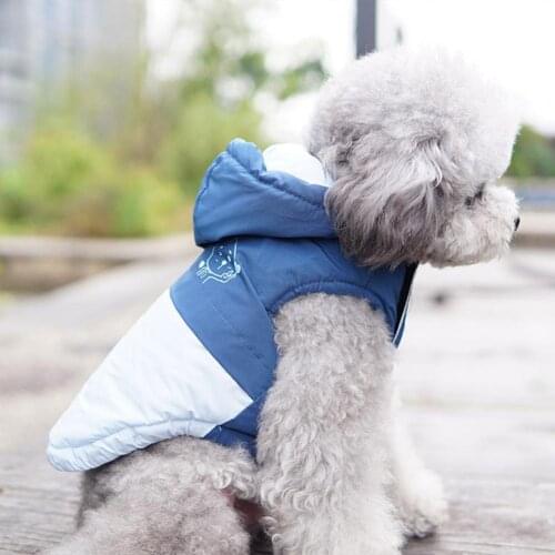 Casual Lovely Puppy Two-legged Winter Jacket Pet Clothing Puppy Coat All-matched Puppy Costume
