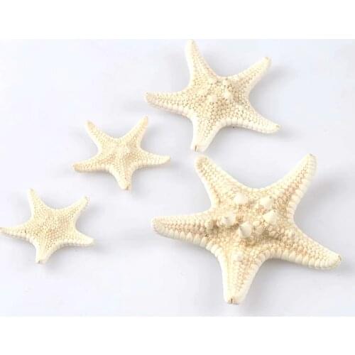 5pcs 2-4cm Natural Beige Starfish Nautical Sea Shells For Wedding Decoration Scrapbooking Seastar Crafts Home Beach