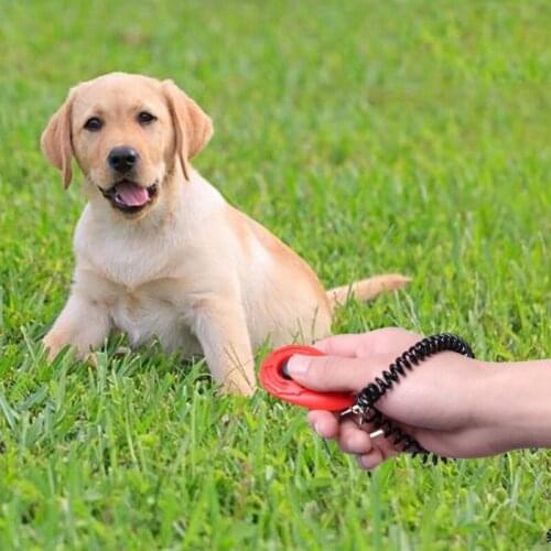 Dog Training Clicker with Wrist Strap - Pet Training Clicker Set Pet Ellipse Clicker Training Tool for Dogs Four pcs