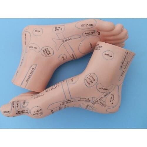 20Cm Foot Reflex Zone Model, Foot Massage Model. English Language 2pcs = 1 pair