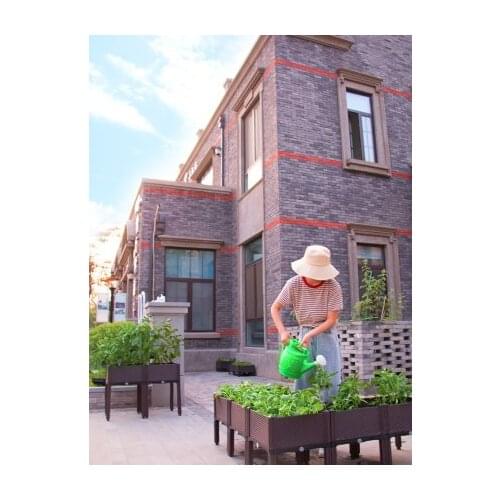 4HQD Vegetable Seeds