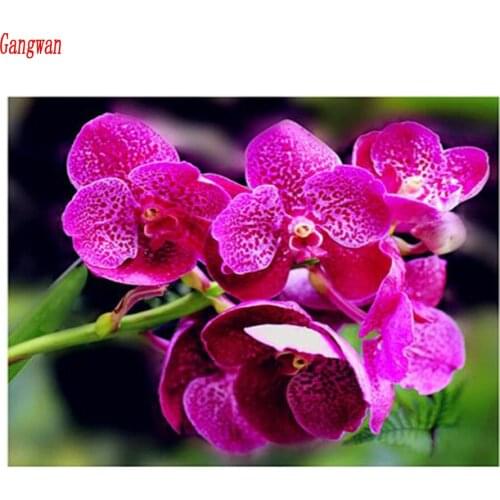 Full Diamon DIY Diamond Painting Orchid flower 3D Embroidery Cross Stitch Rhinestone Mosaic Painting new year Home Decoration