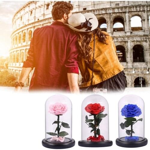 Glass Cover Fresh Preserved Rose Flower Barbed Rose Flores For Wedding Marriage Home Party Decoration ValentineS Day Gift Blue