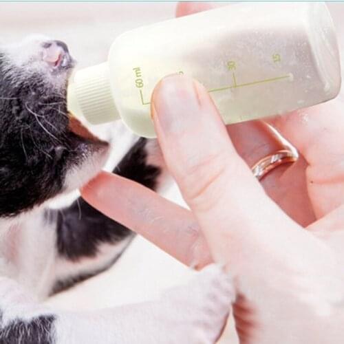 HUXUAN Bowls For Dogs