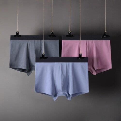 3pcs/Lot HOT Male Underwear For Man Panties Transparent Breathable Summer Ice Silk Thin Men Mens Sexy Underpants