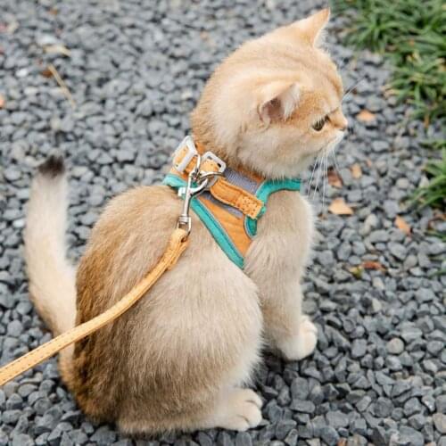 New Adjustable Cat Traction Chest Back Walking Rope Pet Dog Reflective Chest Strap Cat Leashing Rope Vest Harness