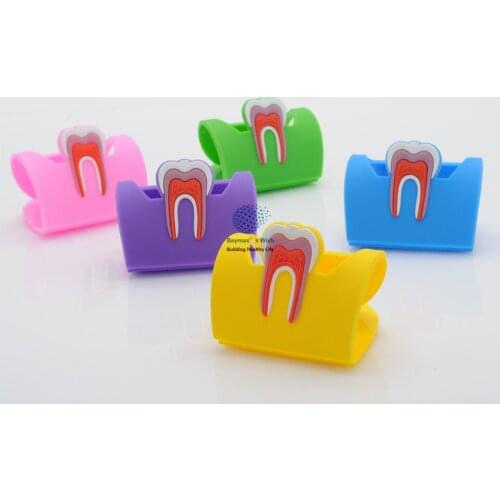DANTAL 10Pcs Rubber Molar Shaped Name Card Holder Case Holder Case Display Stand 5 Color