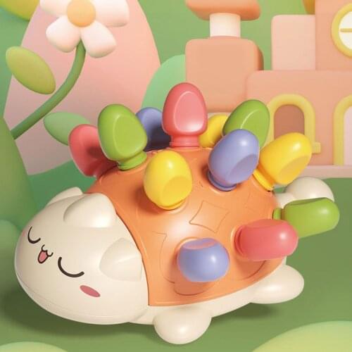 Brangdy Children's Puzzles