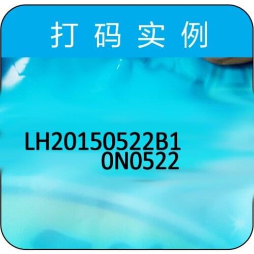 Common type ink ribbon machine for plastic packaging bags with 1 rolls ribbons free