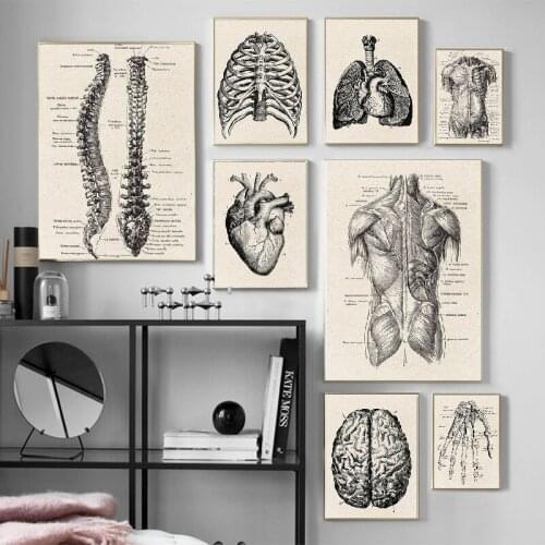 Nordic human anatomy artwork medical wall painting musculoskeletal retro Poster Canvas printing educational painting modern deco