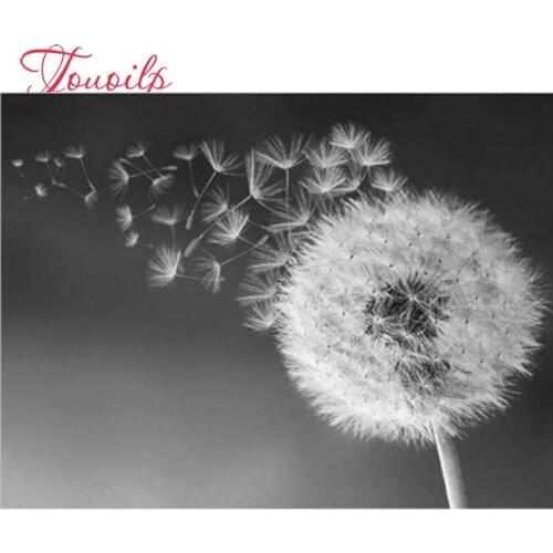 NEW 5d diy Diamond embroidery Dandelion diamond painting Cross Stitch full square round diamond mosaic Black and white art