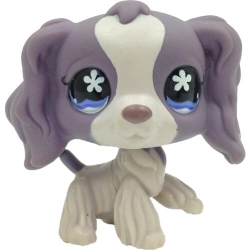 LPS CAT Real animal pet shop toys Cocker SPANIEL #672 light dark purple dog with flower blue eyes old original