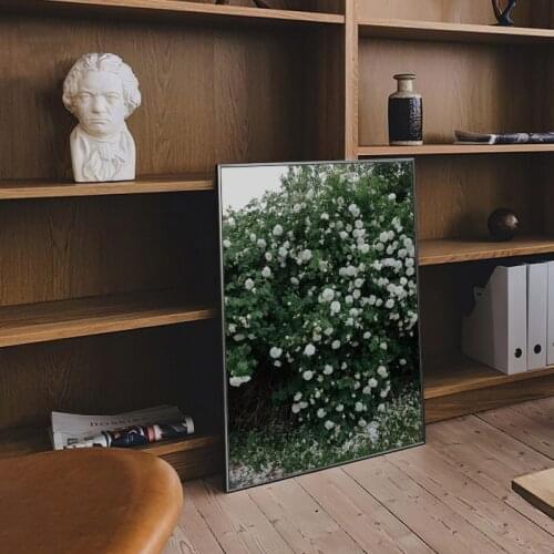 Nature Flower Poster Wall Art Canvas Painting Scandinavian Plant Picture Modern Art Home Decor Print for Living Room Design