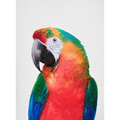 5D Diy Diamond Painting Cros Stitch Red Parrot Diamond Embroidery Full Square Drill Pattern Crystal Mosaic Rhinestone Art Crafts