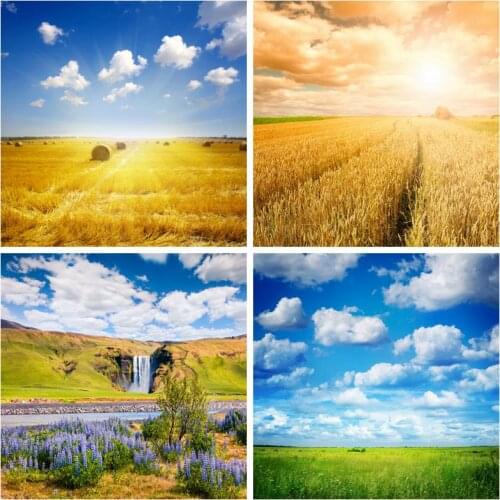Laeacco Farm Field Autumn Hay Rolls Blue Sky Scenic Photography Backgrounds Customized Photographic Backdrops For Photo Studio