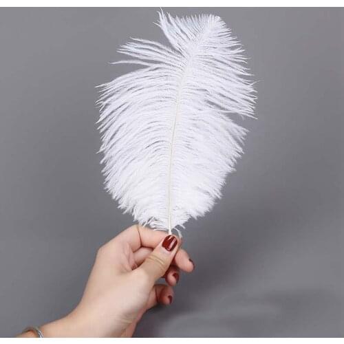 10Pcs DIY Natural Ostrich Feathers White Plume Craft Colored Feather Jewelry Making Wedding Party Christmas Decor Plumas 15-30CM