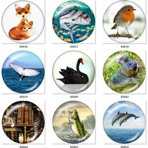Animals Swan fish fox cat 12mm/18mm/20mm/25mm Round photo glass cabochon demo flat back Making findings B9836