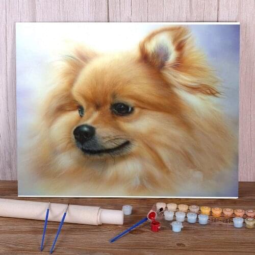 Animal Dog Pomeranian DIY Paint By Numbers Package Oil Paints 50*70 Painting On Canvas Loft Wall Picture Children Handiwork