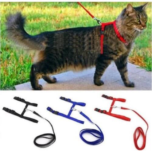 Adjustable Cat Collar 120 cm (4 Color)
