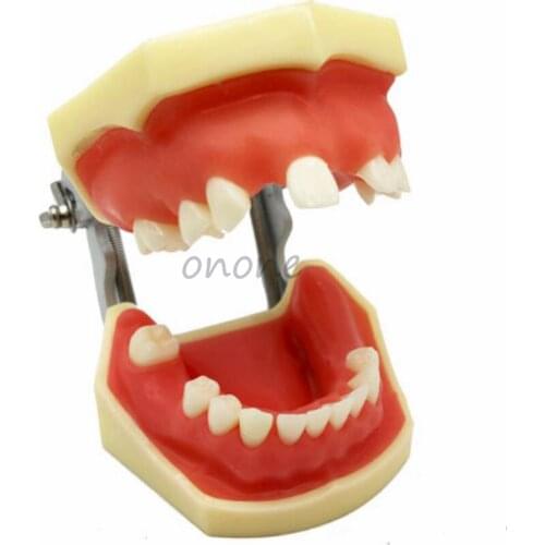 1pcs Maxillary Sinus Lifting Exercise Model Mandibular Implant Practice Incision and Suture Teeth Model