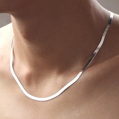 Europe New Flat Snake Bone Chain Bare Chain Simple Silver Collar Short Clavicle Blade Chain Jewelry For Men Women Party Jewelry