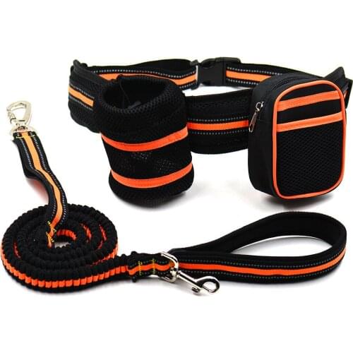 Do Dower Collars, Harnesses And Leashes