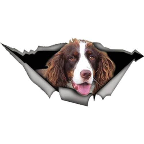 Dawasaru Brown and White Springer Spaniel Car Sticker Torn Metal Decal Reflective Stickers Funny Pet Dog Decals 13cm X 6cm