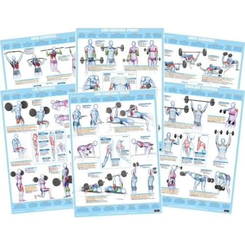 Weight Training Bodybuilding Barbell Dumbbell Exercise Charts ART SILK Print POSTER Decorative Wall painting 24x36inch