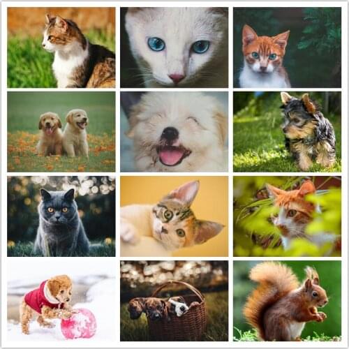 5d Diy Diamond Painting Animal Dog Picture Cross Stitch Kit Handmade Full Diamond Embroidery Home Decoration