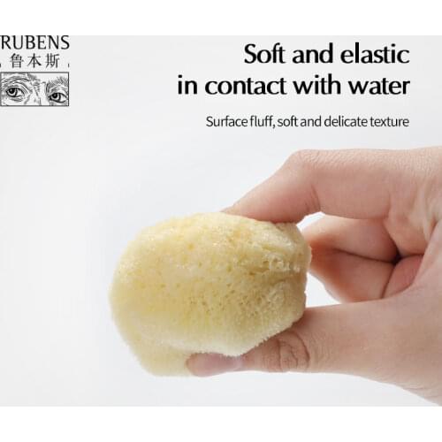 Paul Rubens Artist Sponges Natural Ocean Paint Brush Art Supplies for Watercolor, Crafts, Acrylics, Oils, Clay, Face Painting