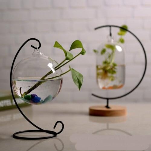 Glass Round Ball Vase Micro Landscape Hydroponic Ecological Bottle DIY Decoration Glass Transparent Fish Tank