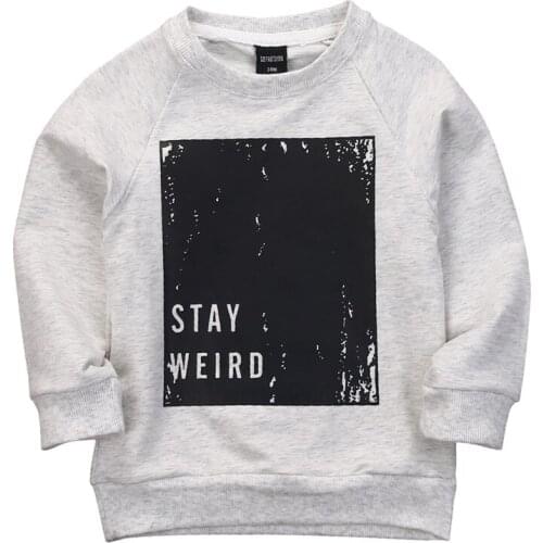 Spring Autumn Kids Baby Boy T-shirt Long Sleeve Printed Clothes Sweatshirt Top Warm Cotton Pullover Children Clothing