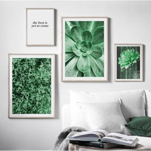Nature Green Leaves Succulent Plants Wall Art Canvas Painting Nordic Posters And Prints Wall Pictures For Living Room Decor