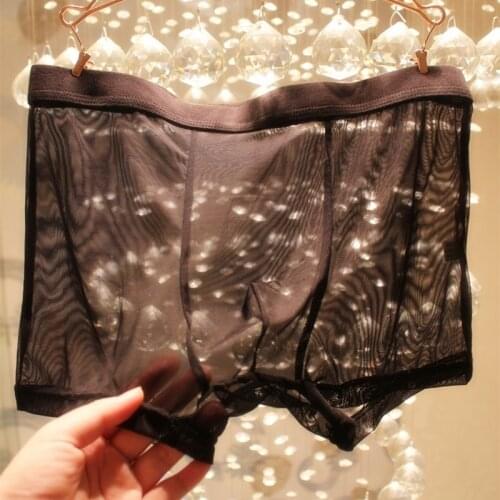 Udarnik Men's Transparent Briefs