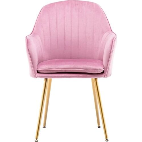 Nordic Ins Net Red Desk Chair Dining Chair Light Luxury Simple Home Cafe Back Makeup Nail Stool